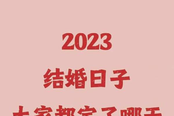 2023年2月份结婚吉日一览表(2023年结婚的好日子 结婚吉日大全)