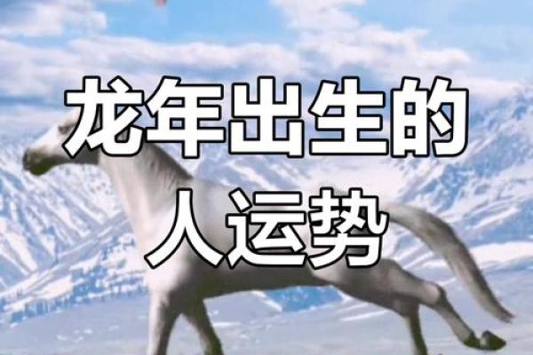 1988年属龙者命运解析戊辰年大林木命全揭秘