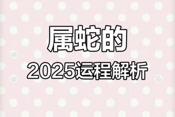 属蛇的2025年运势 2025蛇年运程全解属蛇人逐月运势大揭秘 属蛇的2025年运势 2025蛇年运程全解属蛇人逐月运势大揭秘