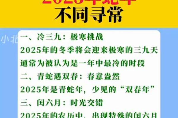 2025属蛇全年运程详解逐月运势与关键转折点 2025属蛇全年运程详解逐月运势与关键转折点