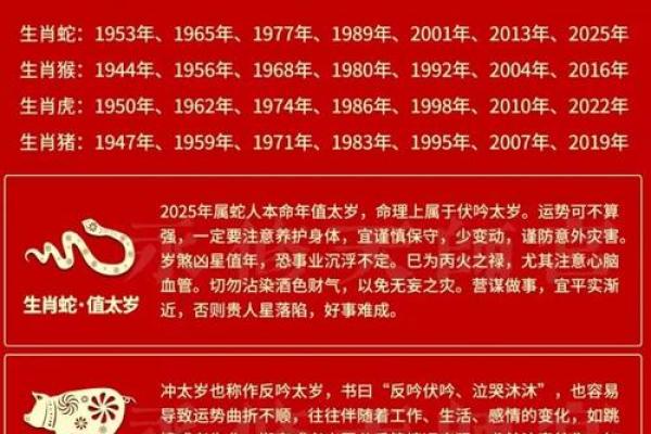属蛇人2025年运势 2025年属蛇人全年运势详解每月运程大揭秘