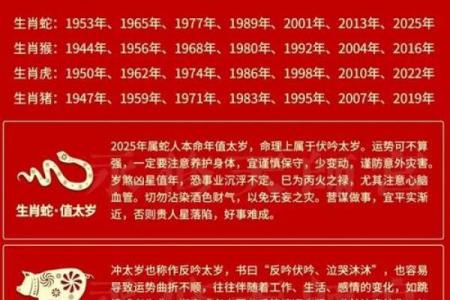 属蛇人2025年运势 2025年属蛇人全年运势详解每月运程大揭秘