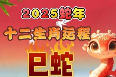 属蛇人2025年每月运势运程每月 2025属蛇人逐月运势详解全年运程完整解析
