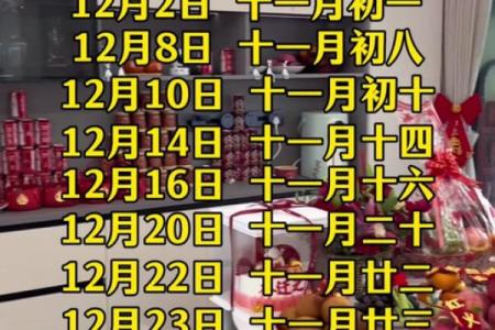 2月份结婚黄道吉日2024年-[黄道吉日]