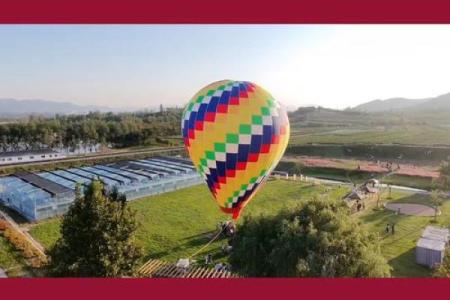 2025年2月最好的日子