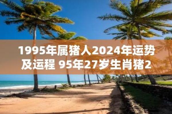 1995年属猪的人2025年运势 2025年属猪人运势解析1995年出生者运程全揭秘