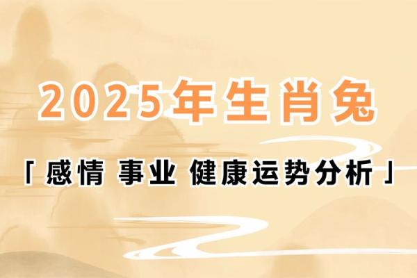 63年属兔人2023年运势解析财运事业感情全揭秘