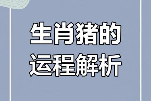 属猪运势2025年运程 2025年属猪运势详解财运事业感情全面解析