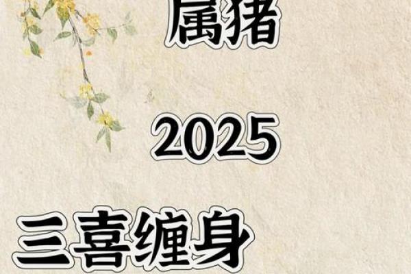 麦玲玲2025年属猪人全年运势 麦玲玲解析2025年属猪人全年运势财运事业感情全揭秘