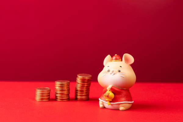 属猪人在蛇年2025的运势怎么样 属猪2025年有大喜缠身