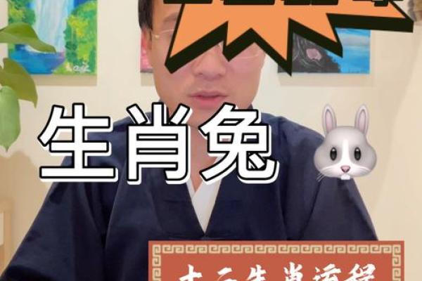 2025年87属兔运势详解运程预测与吉凶分析