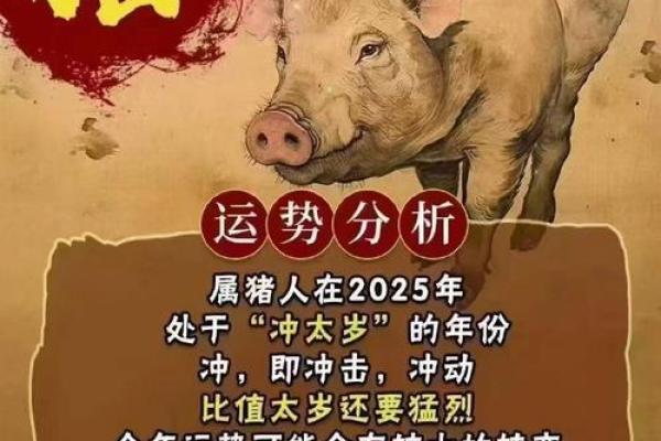 2025年属猪人虚岁年龄计算及运势解析