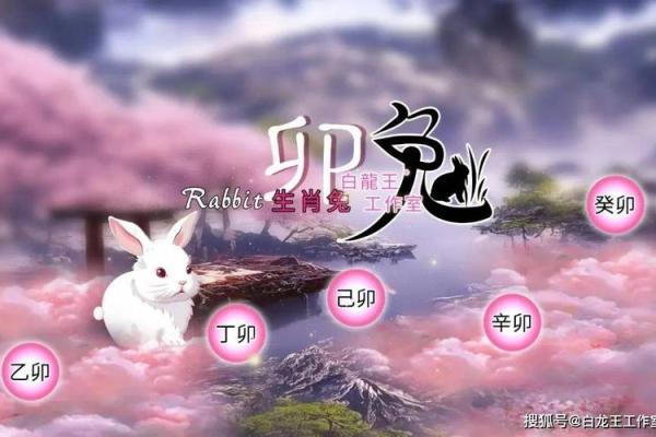 1987属兔2025年运势及运程_1987年属兔的人2023年运势怎么样