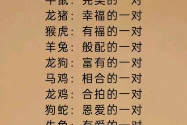 1987属兔的婚姻和命运 1987属兔婚姻命运解析幸福与挑战并存
