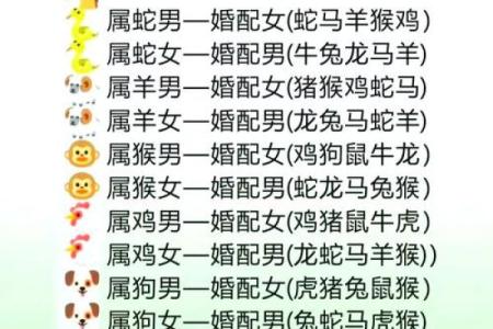 属虎的和属蛇的合得来吗 农历五月生肖配对解析属虎与属蛇的缘分能否长久