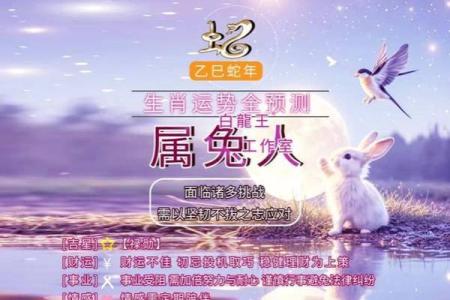 2025年属兔人的全年运势 2025年属兔人全年运势详解财运事业感情全面解析