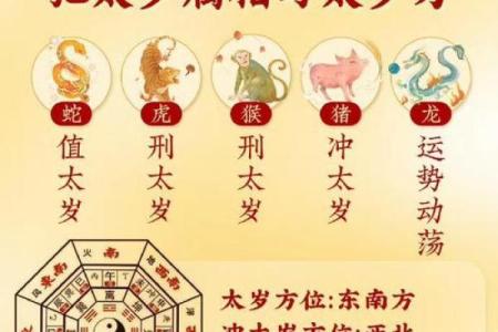 2025年蛇年对于属兔人好吗 2025年蛇年属兔人运势解析吉凶如何