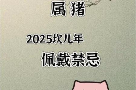 2025属猪的贵人是谁_2025年属猪的贵人是谁揭秘最佳助力者