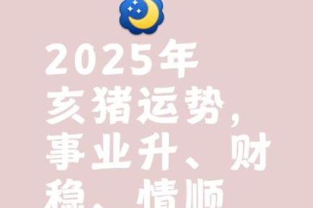 2025年属猪2007年生的全年运程_2007的猪在2025的学业