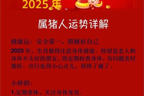2025年属猪女运势详解财运爱情事业全面解析