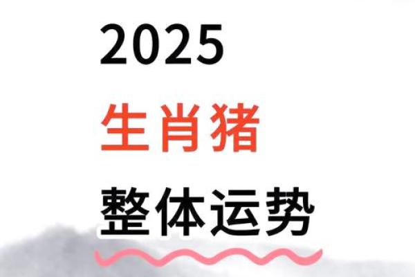 1983年属猪2025年佩戴什么好 83年属猪人42岁过七劫