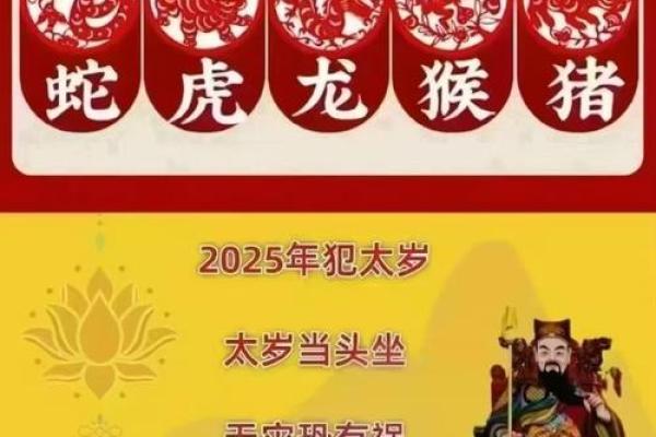 2025蛇年属猪披麻戴孝_2025年属猪大发横财