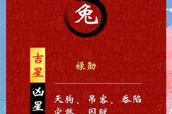 2025年属兔人终于转运了 1975年出生_1975年几月兔最有福气