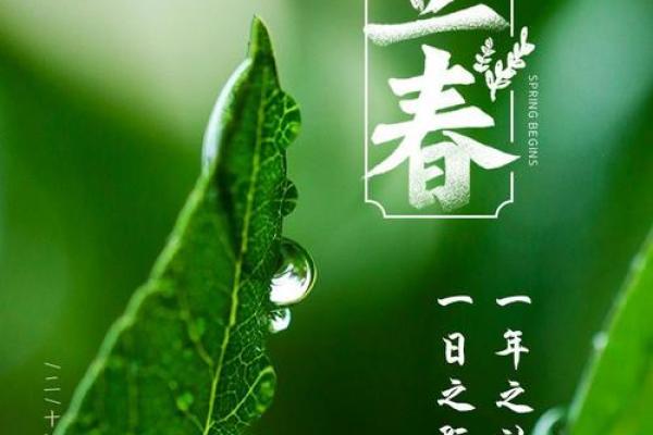 2020立春图片 2020立春图片