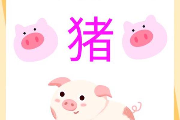 2007属猪男孩一生学业运 2007属猪男孩学业运势解析一生学业运如何