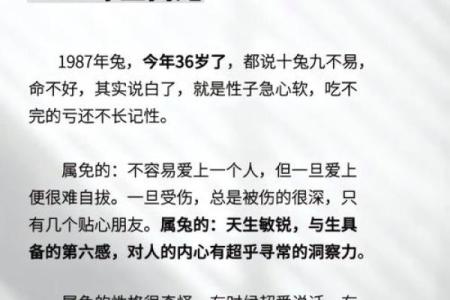 2025年兔运势运程1987年的兔_2025兔子的全年运势如何