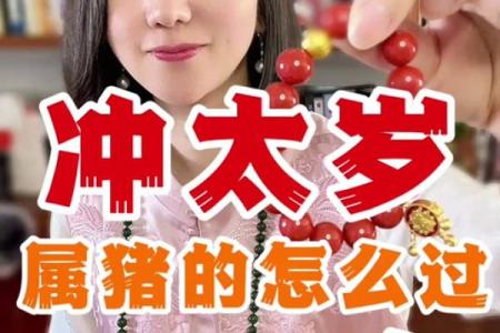 1971属猪男2025年全年运势 1971年的猪男未来五年的运程