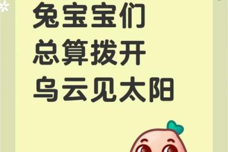 属兔2025年运势及运程详解 属兔2025年运势及运程详解每月