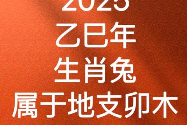 蛇年属兔的运势怎么样 蛇年属兔运势解析2023年兔年运势如何