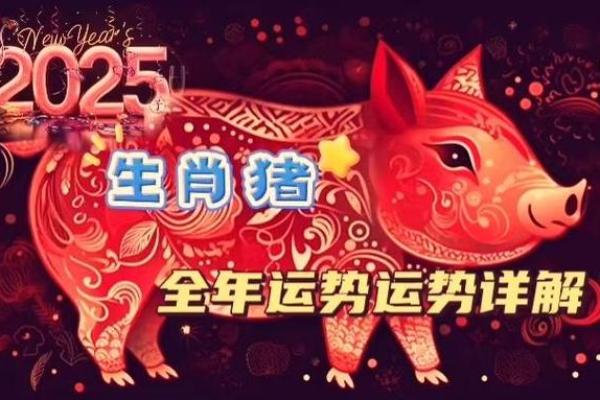 2025年属猪人全年运势解析2007年出生者运程详解 2025年属猪人全年运势解析2007年出生者运程详解