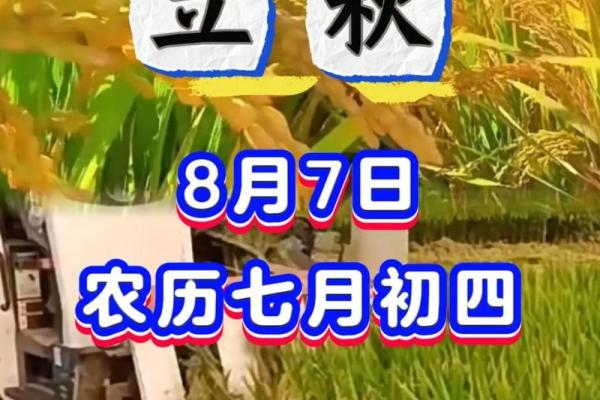 2022年8月7号立早秋还是晚秋 2022年8月7号立早秋还是晚秋
