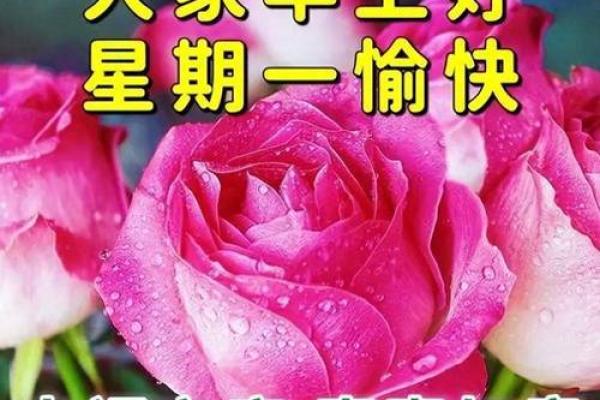 二月比较好的日子