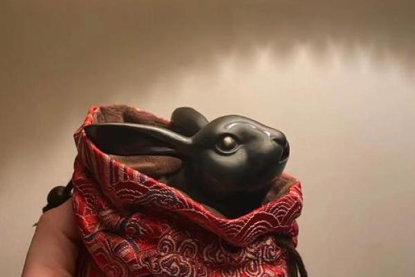 2023黑兔年百年一遇 2023黑兔年百年一遇