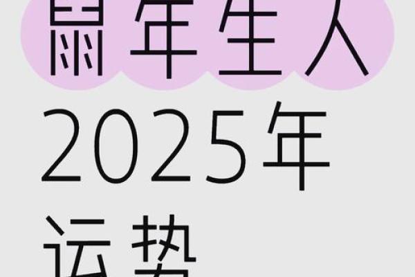 属猪2025颜色最旺最吉利_2025年属鼠的颜色什么最吉利