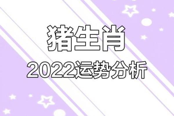 2025年95猪运势详解财运事业爱情全面解析