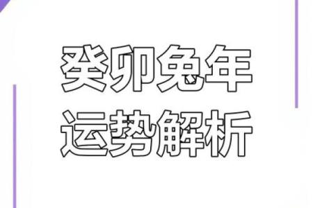2023年兔年运势 2023年兔年运势解析财运事业爱情全攻略