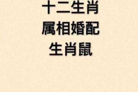 1996年1月属猪还是老鼠_1996年一月属鼠是什么命