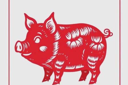 属猪在2025年运势_2025年属猪人运势解析财运事业感情全面预测