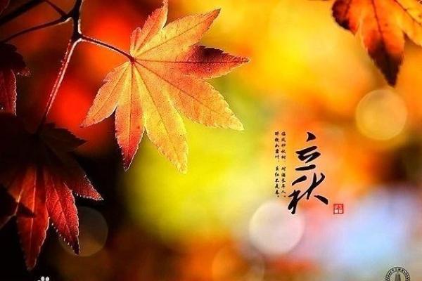 2018年立秋 2018年立秋