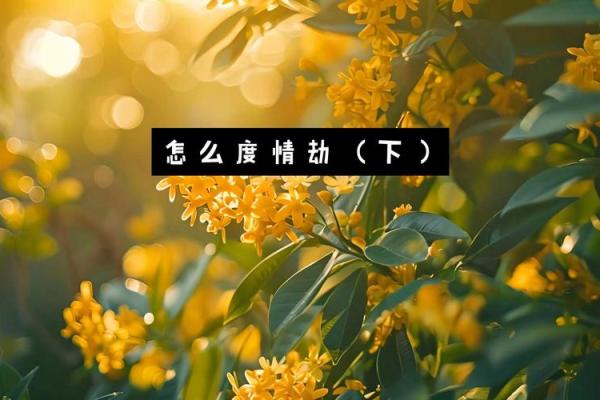 2025属兔人情劫是几月份_2025年属兔人情劫月份揭秘几月需特别当心