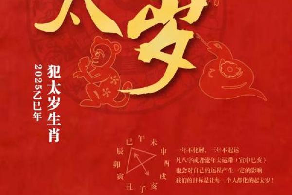 2025年生肖猪冲太岁_2025年生肖猪冲太岁戴什么吉祥物好 2025年生肖猪冲太岁_2025年生肖猪冲太岁戴什么吉祥物好