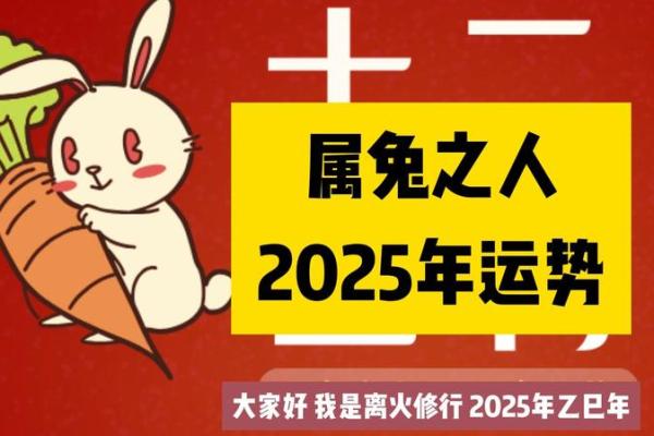 75年生肖兔2025年运势 75年生肖兔2025年运势详解财运事业感情全解析 75年生肖兔2025年运势 75年生肖兔2025年运势详解财运事业感情全解析