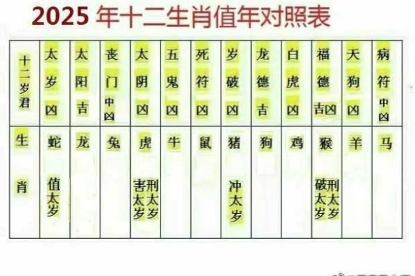 2025属猪要戴吴遂大将军吗_83年属猪人42岁过七劫 2025属猪要戴吴遂大将军吗_83年属猪人42岁过七劫