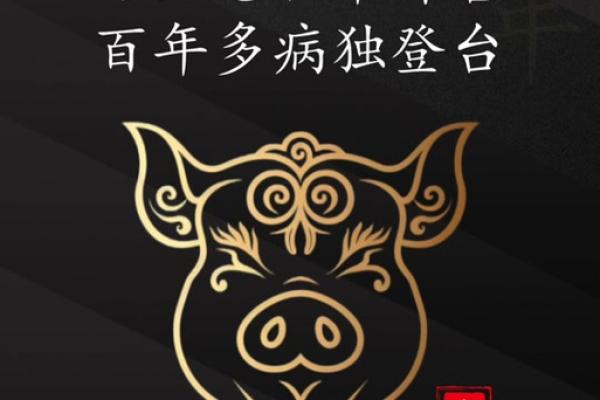 属猪的今年多大了2025年_属猪的今年多大了2025年出生 属猪的今年多大了2025年_属猪的今年多大了2025年出生