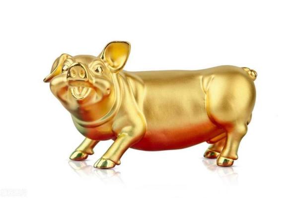 属猪2025的特大贵人_2025年属猪人的三大贵人运势飙升的关键助力