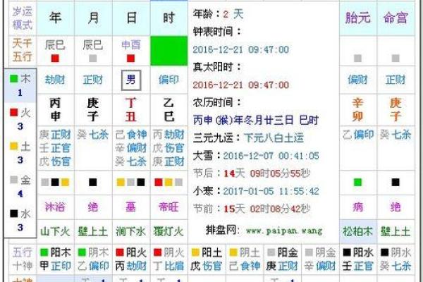 2016年什么年 2016年什么年